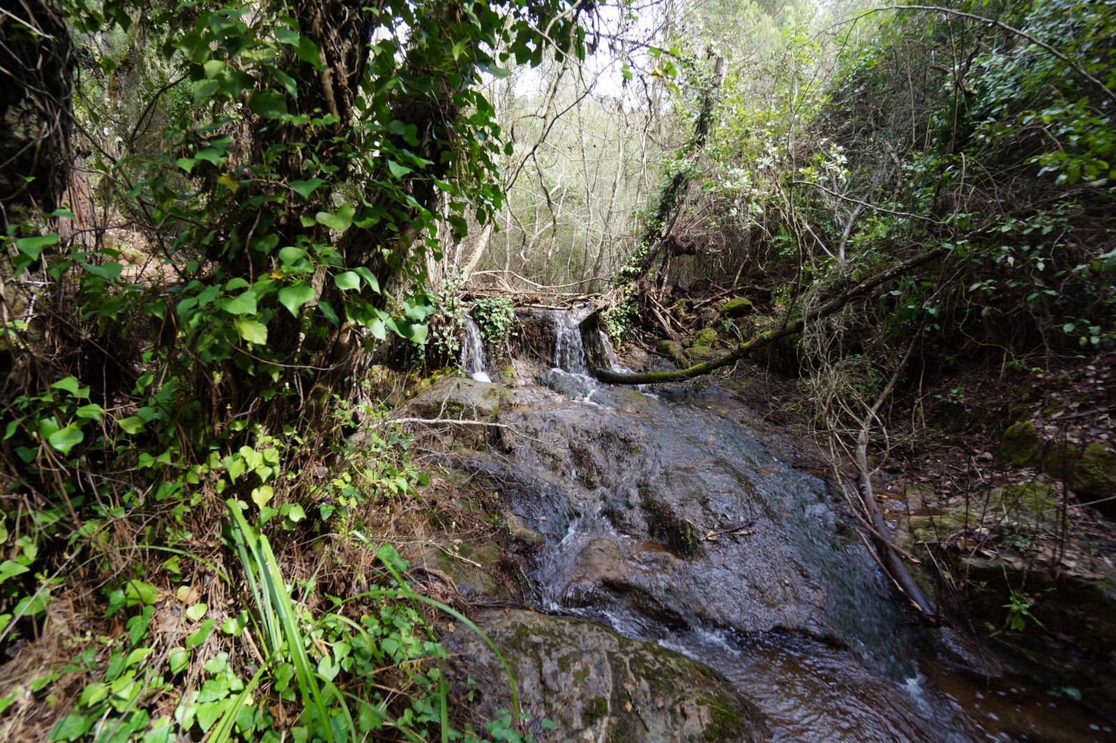 Una ruta por los Baños de Popea en Córdoba, en fotografías