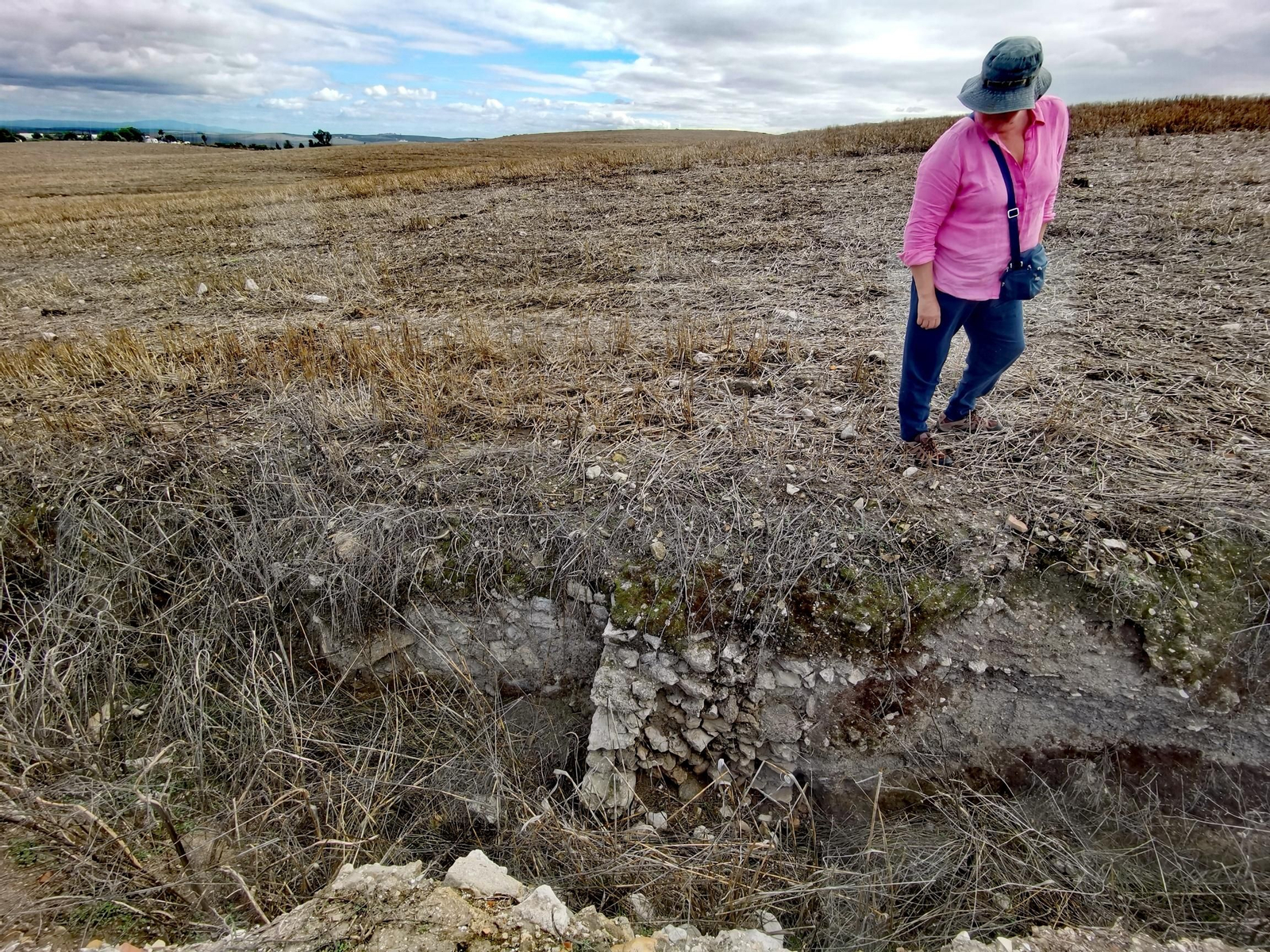 Las escorrentías hacen aflorar la antigua Asta Regia Las escorrentías hacen aflorar la antigua Asta Regia.jpg