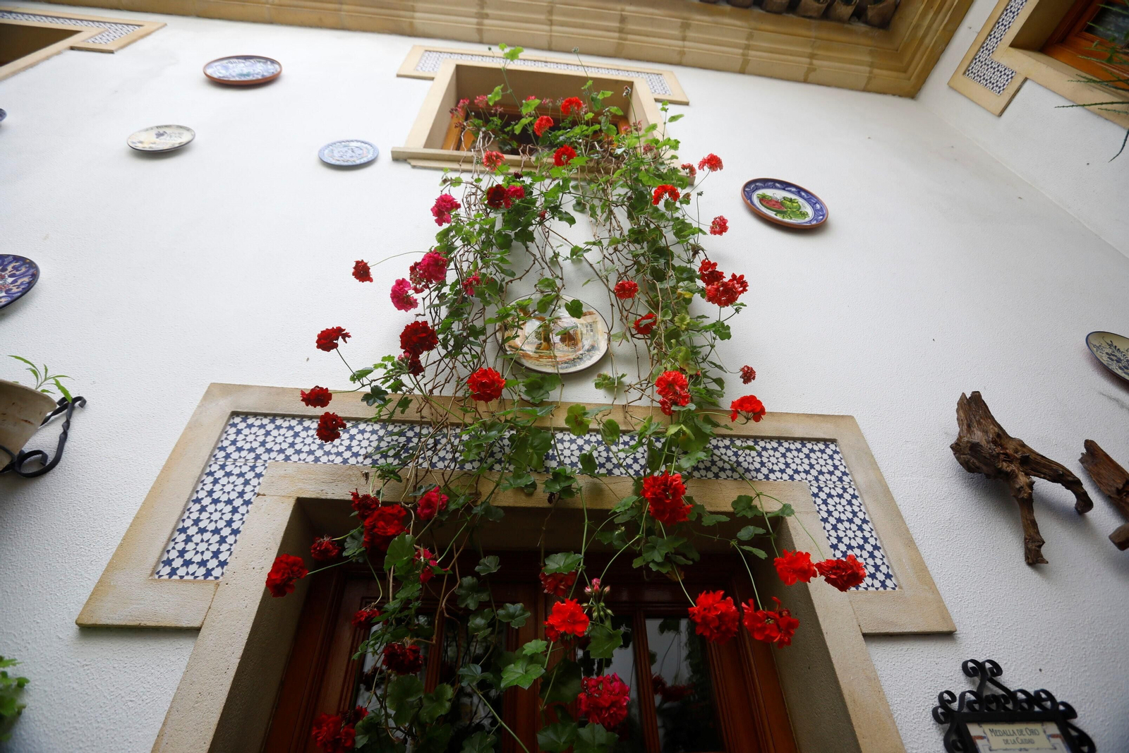 Los patios de Córdoba de la ruta Judería-San Francisco, en imágenes