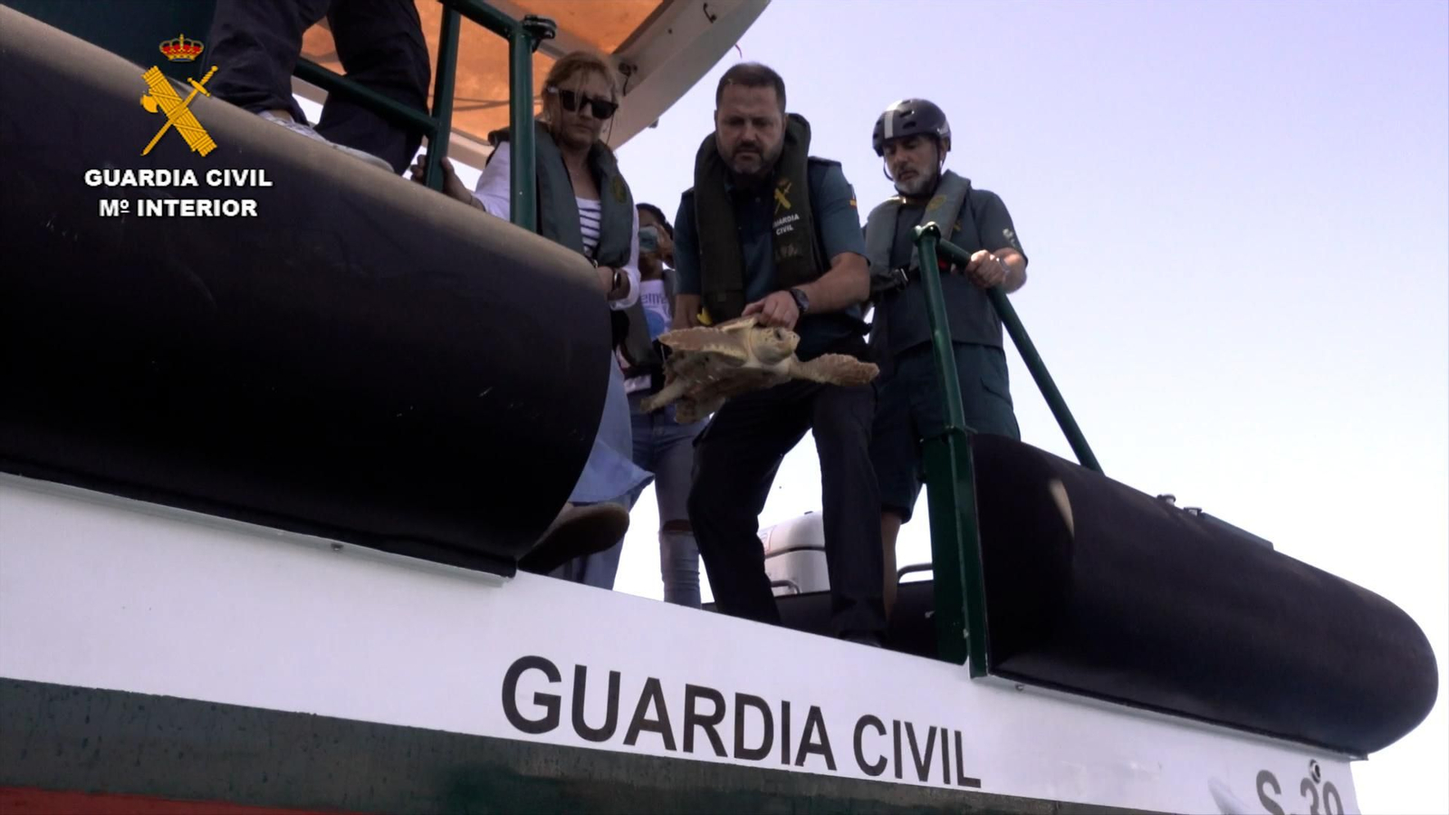 Personal y embarcaciones de la Guardia Civil colaboran con Equinac en la suelta de dos tortugas bobas
