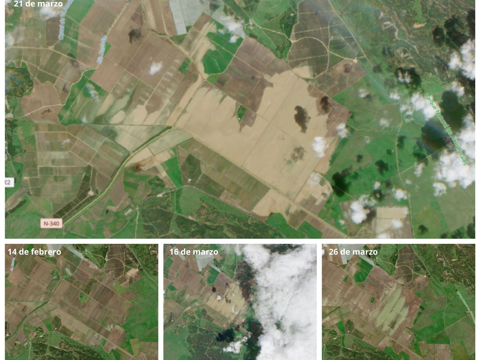 La evolución de la Laguna de la Janda en marzo