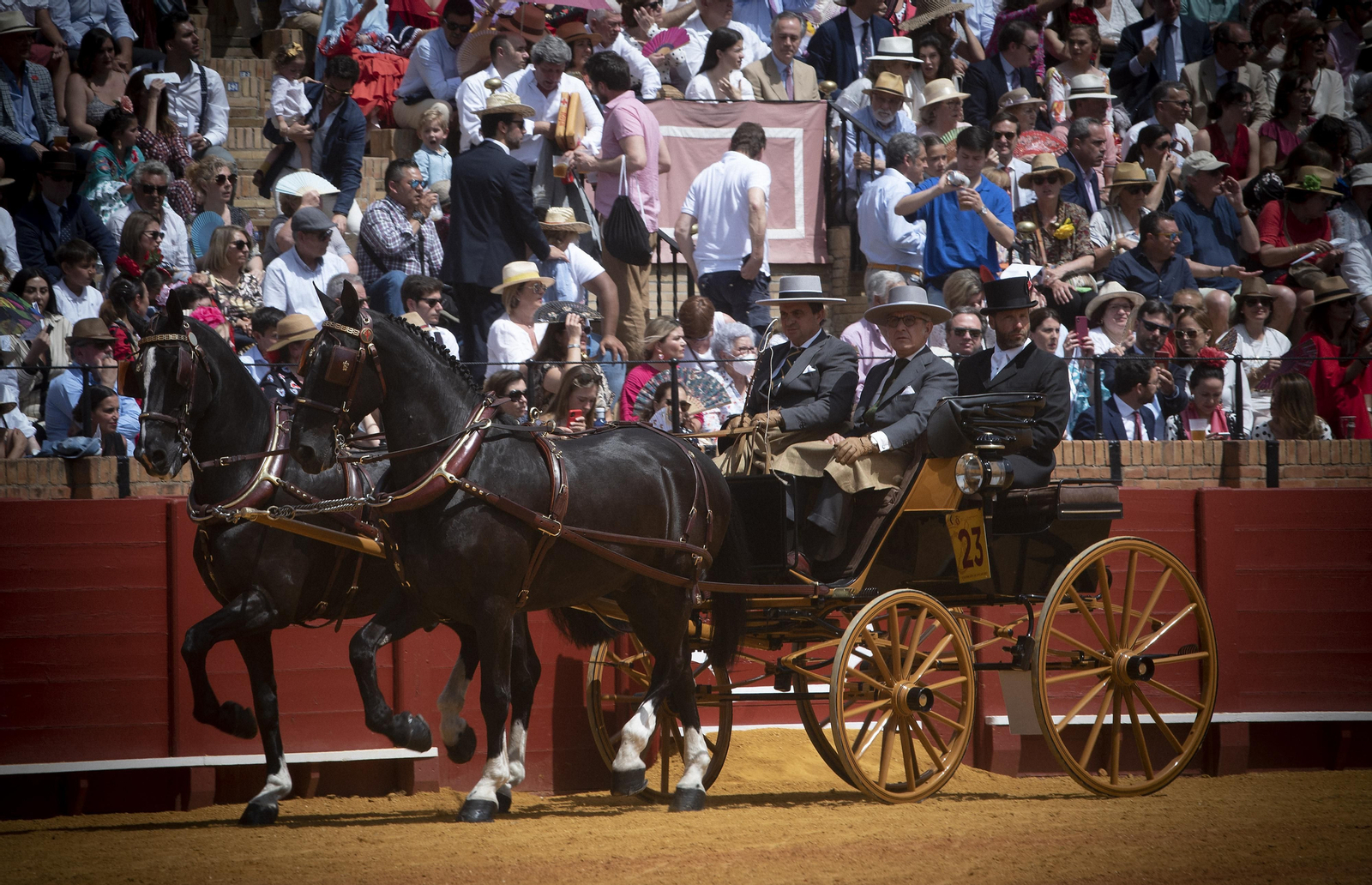 Las imágenes de la Exhibición de Enganches en la Maestranza