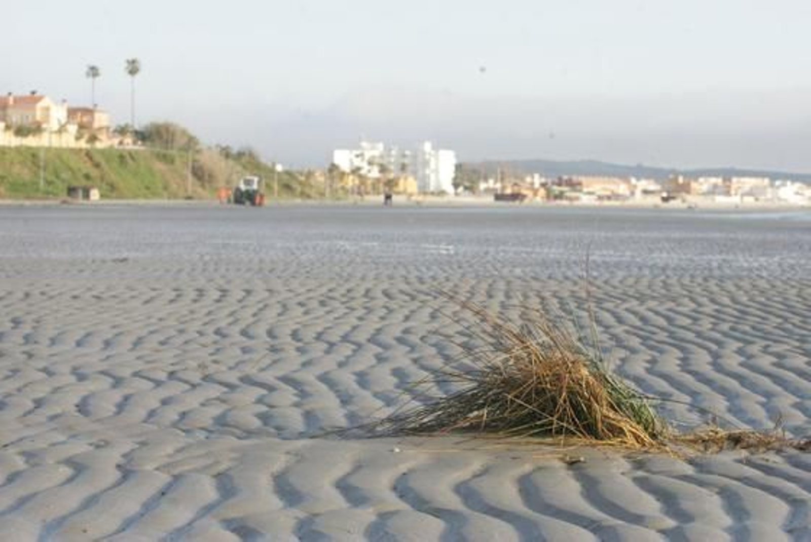 La marea histórica se vivió en las playas del Campo de Gibraltar con mucha espectación, sobre todo en la de Poniente de La Línea y El Rinconcillo de Algeciras./Fotos:Paco Guerrero/Shus Terán/J.M.Quiñones

Foto: Paco Guerrero/J.M.Q./Shus Teran/