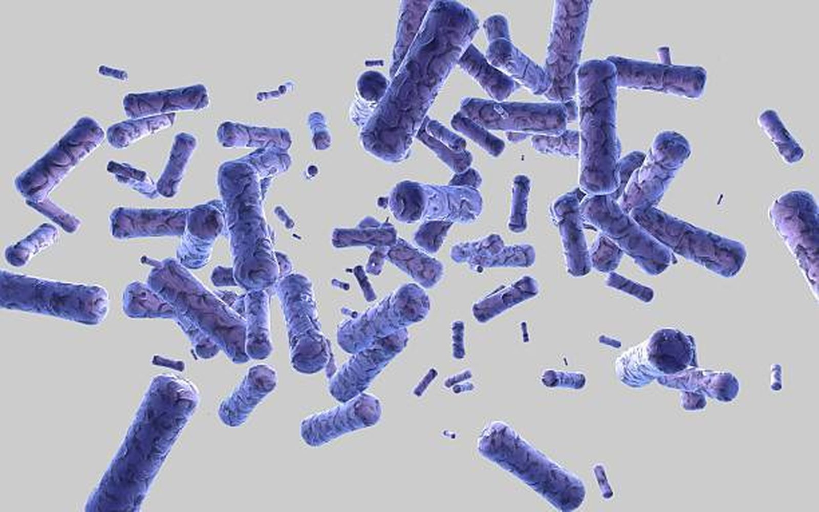 Klebsiella pneumoniae y Escherichia coli, son las bacterias encontradas en el estudio