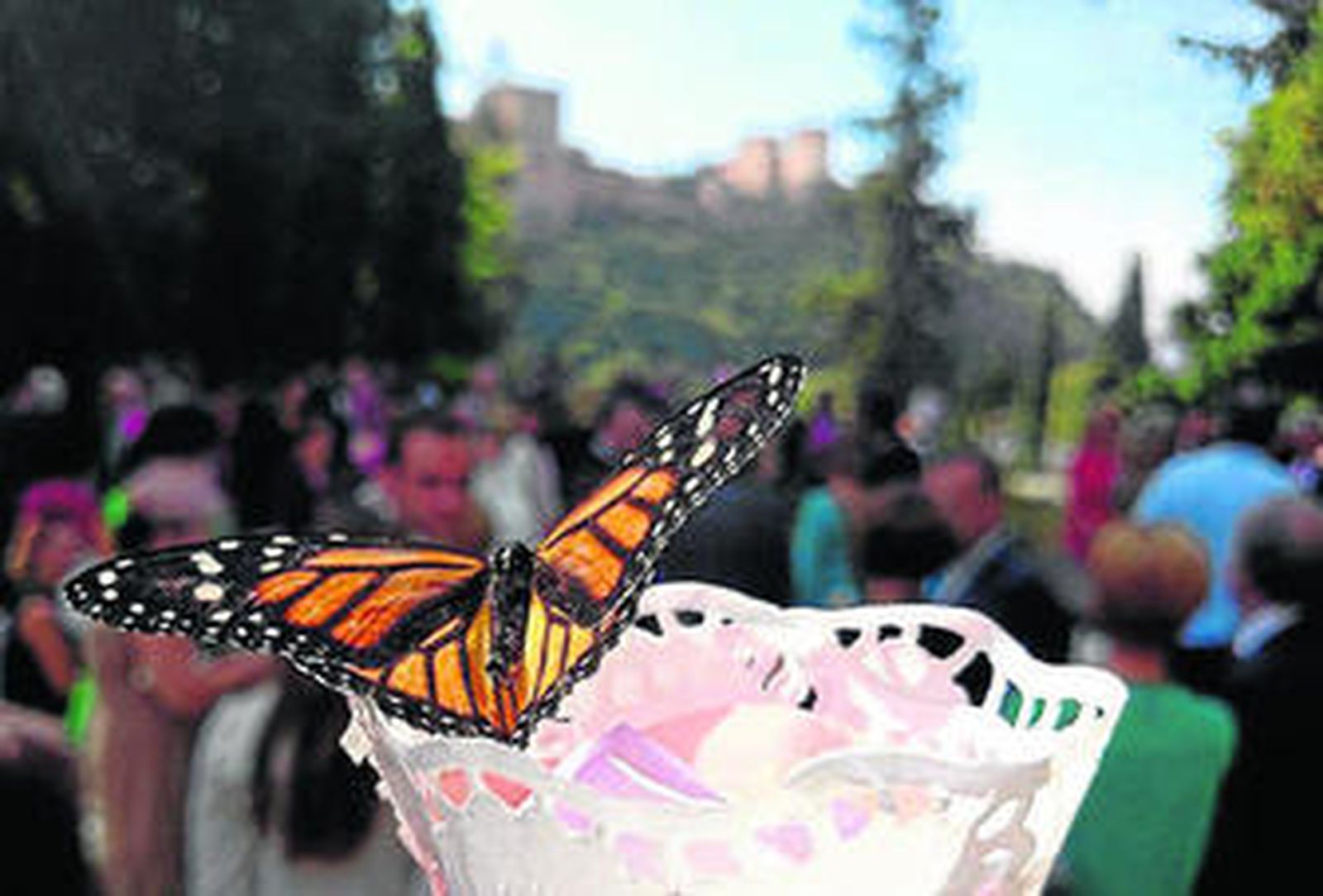 Imagen de una mariposa monarca de Deco Experience en un evento.