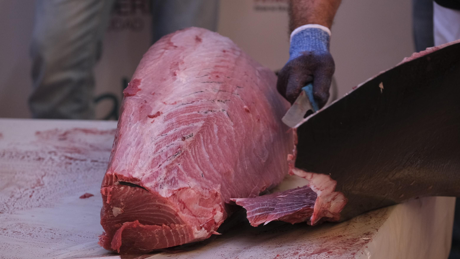 Jornadas del ronqueo del atún de almadraba en el Espacio Gastronómico Tony García, en Almería