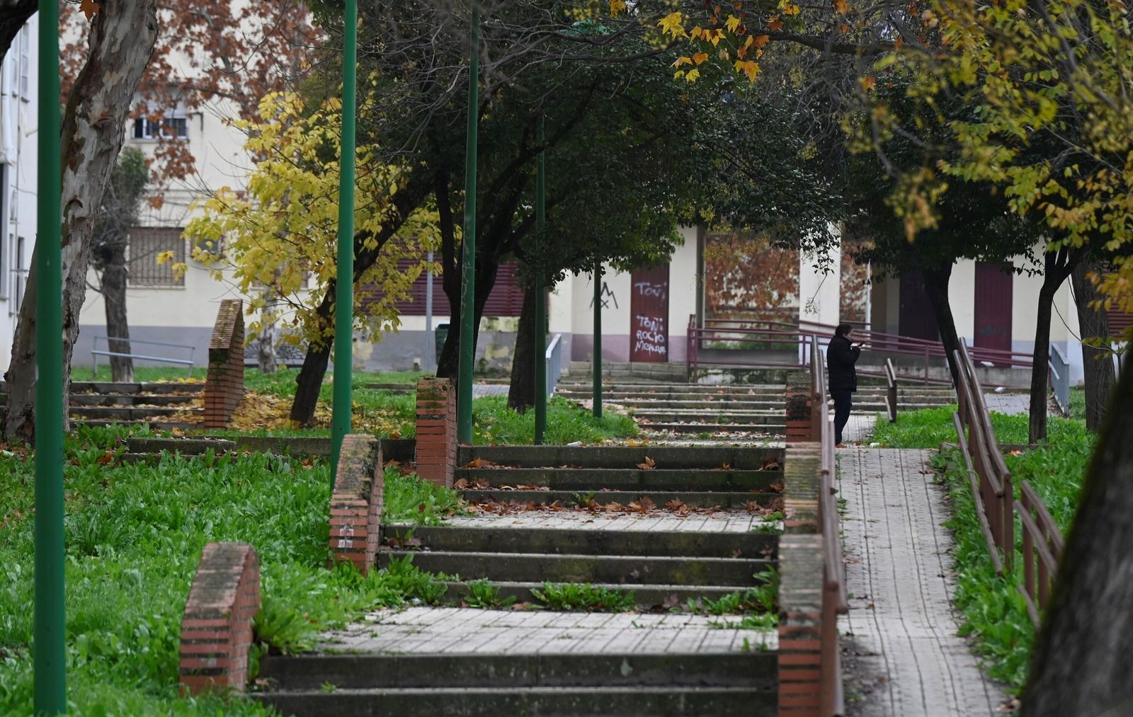 Una de las zonas verdes en las que se va a actuar en el Barrio del Guadalquivir