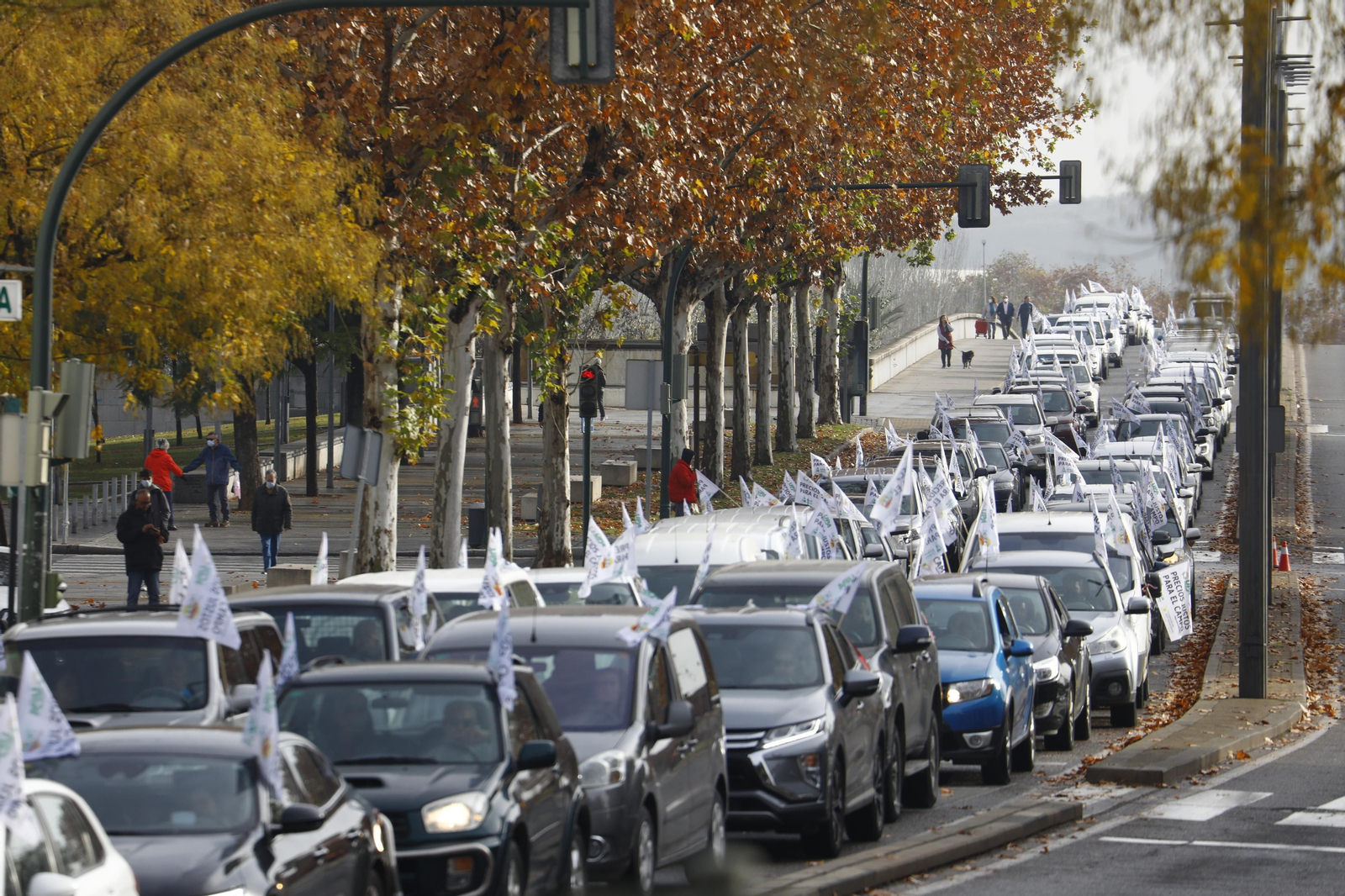 La marcha de protesta del sector agrícola en Córdoba, en imágenes