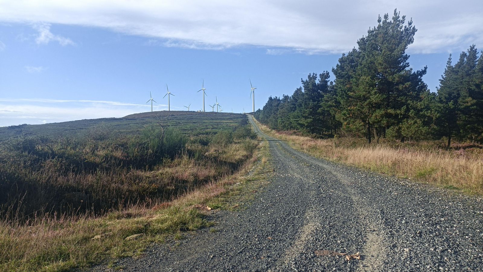 Los habituales aerogeneradores coronando los altos.