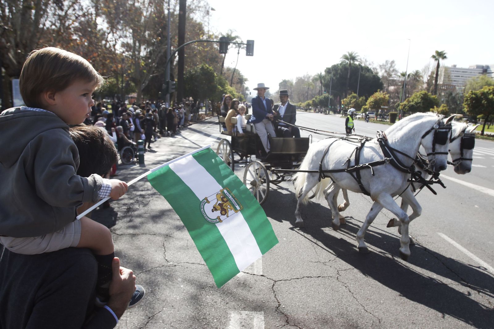 La marcha hípica en Córdoba por el 28-F, en fotografias.