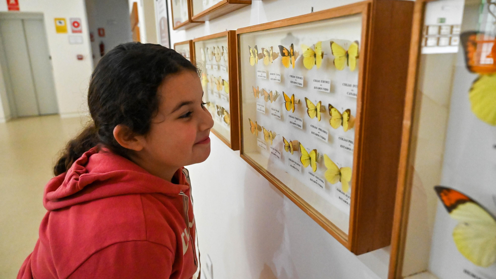 Las fotos de la colección etimologica de Pepe Torres en el Museo Cruz Herrera