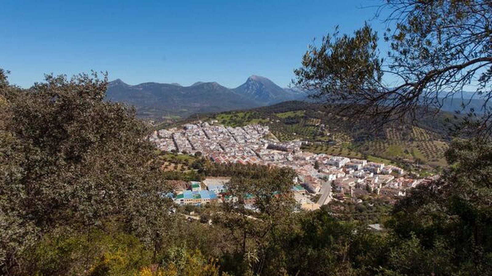 Vistas de Prado del Rey