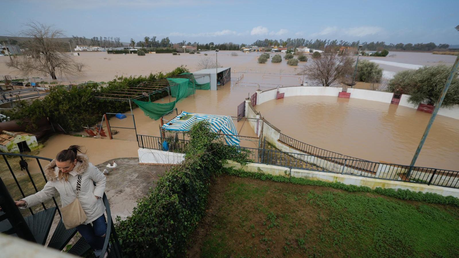 El estado del río Genil, toalmente desbordado en la urbanización de la Isla del Vicario en Écija.