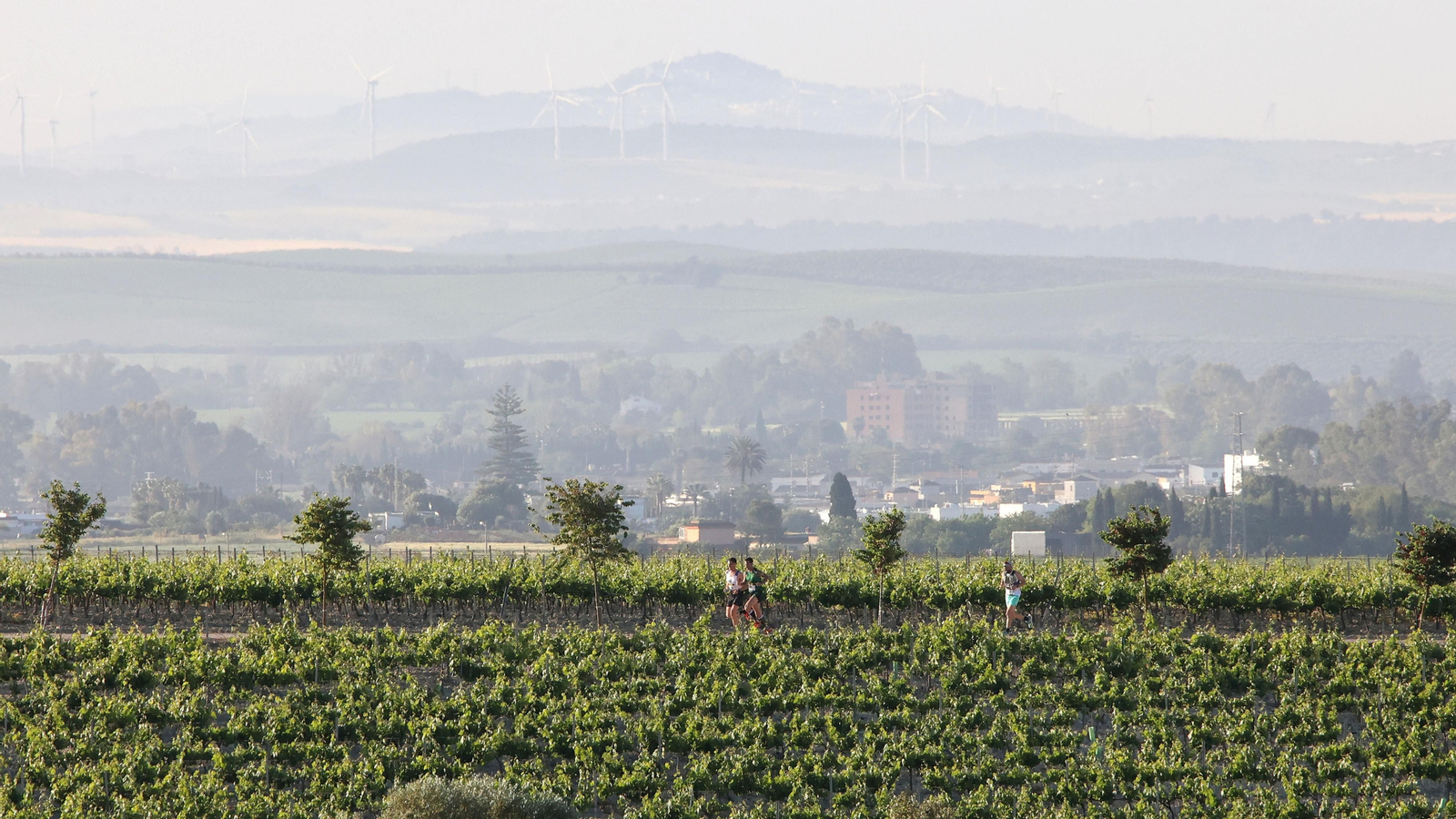 VI Sherry Maratón Jerez