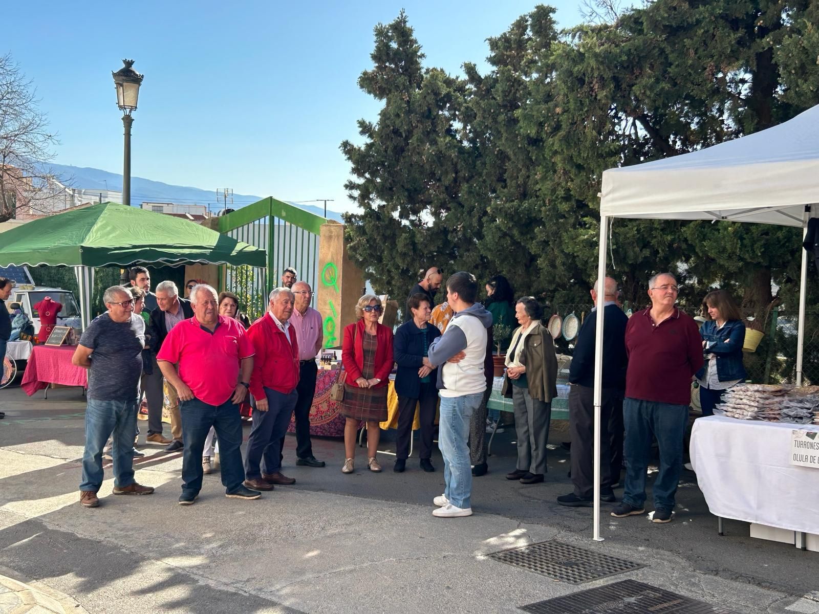 Así se ha vivido el Homenaje al Olivo de Abrucena