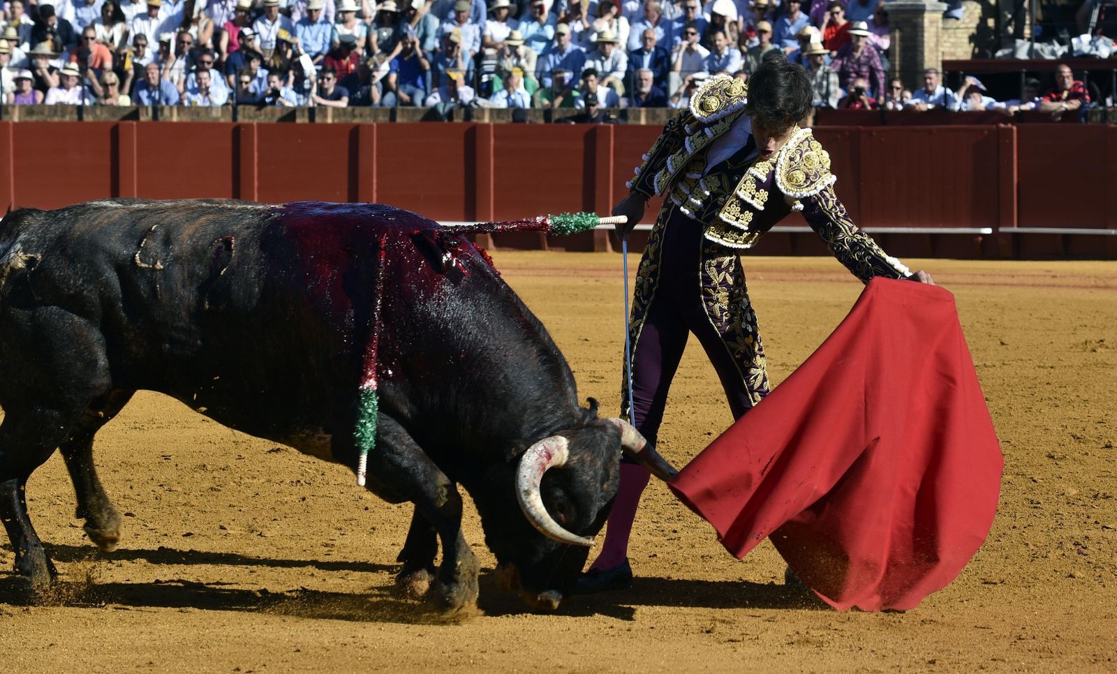 La 14ª de abono en la Real Maestranza de Sevilla, en imágenes