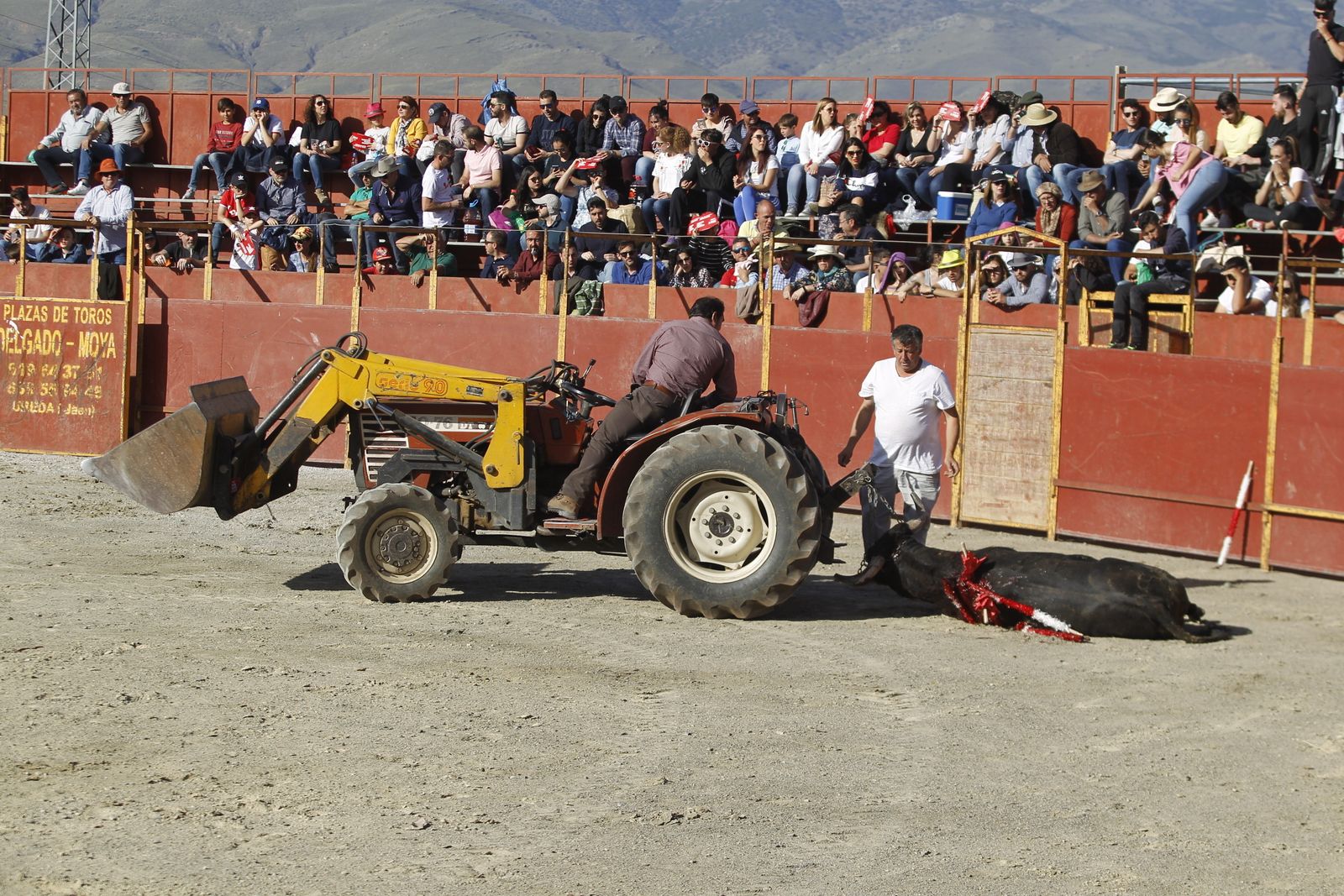 Fotogalería Festival Taurino Mixto. Fiestas de Abrucena.