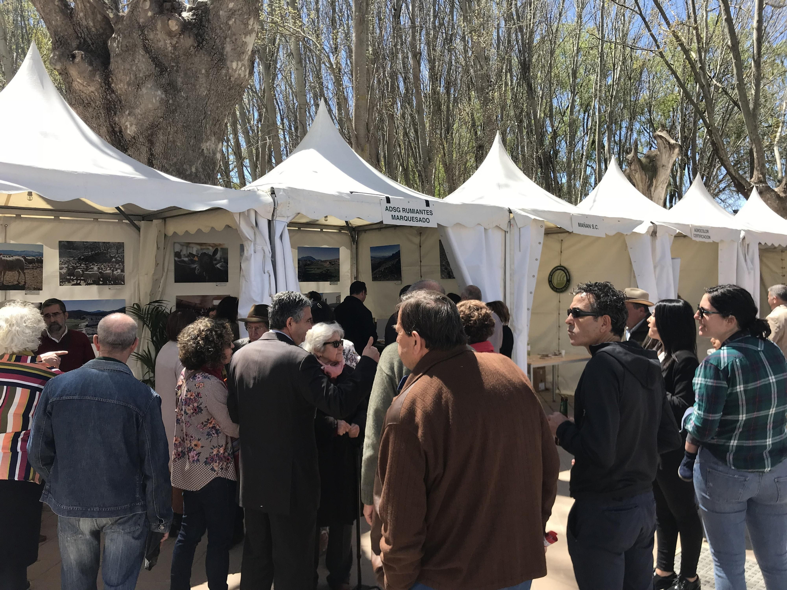 Imágenes de Terracultura 2019, en Chirivel