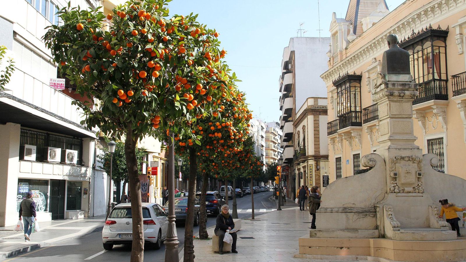 Hilera de naranjos en el centro de la capital.