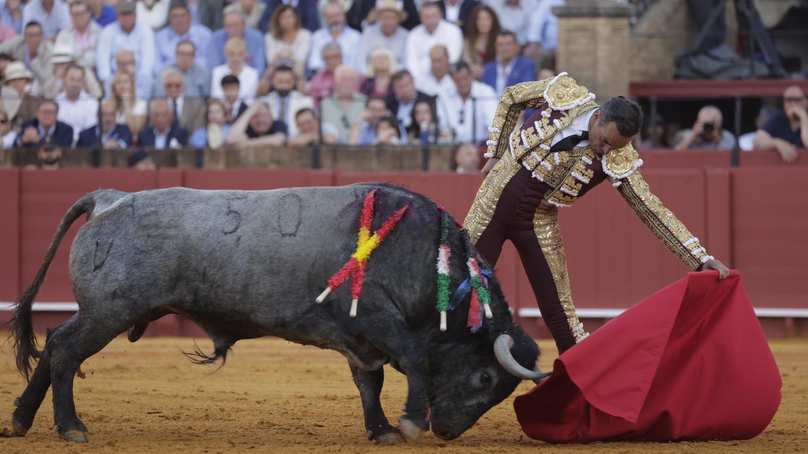 Hondos y larguísimos fueron los naturales de El Cid al cárdeno ‘Mecatero’, al que estoqueó arriba para cortar una oreja.