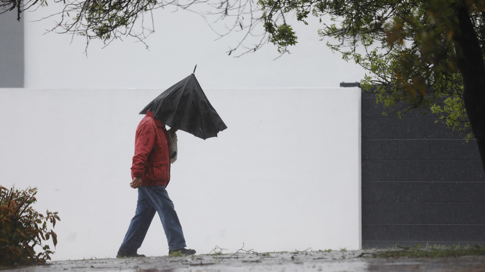 Carreteras cortadas por las lluvias en Algeciras y Los Barrios