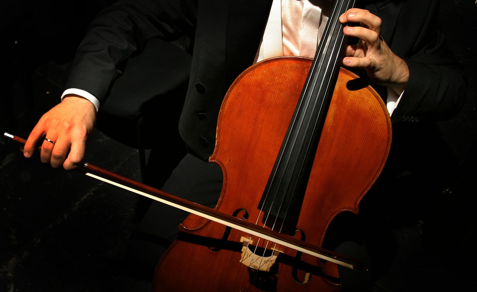 Detalle de un concierto de la Filarmónica de Málaga.