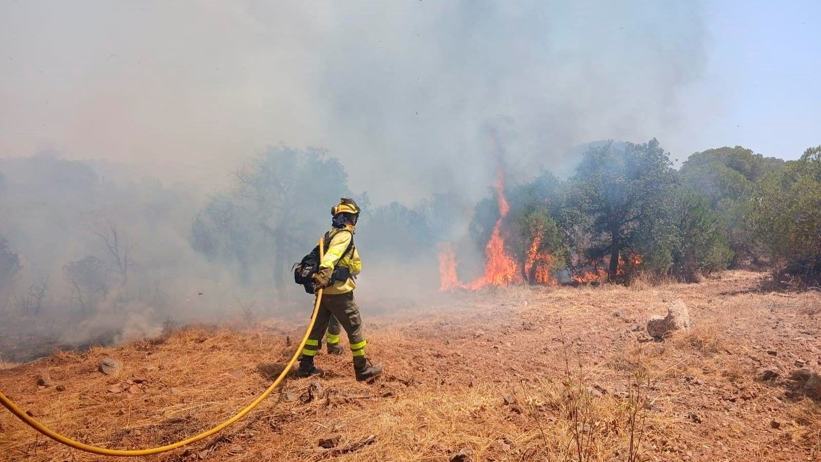 Extinguido el incendio forestal declarado en Lucena del Puerto