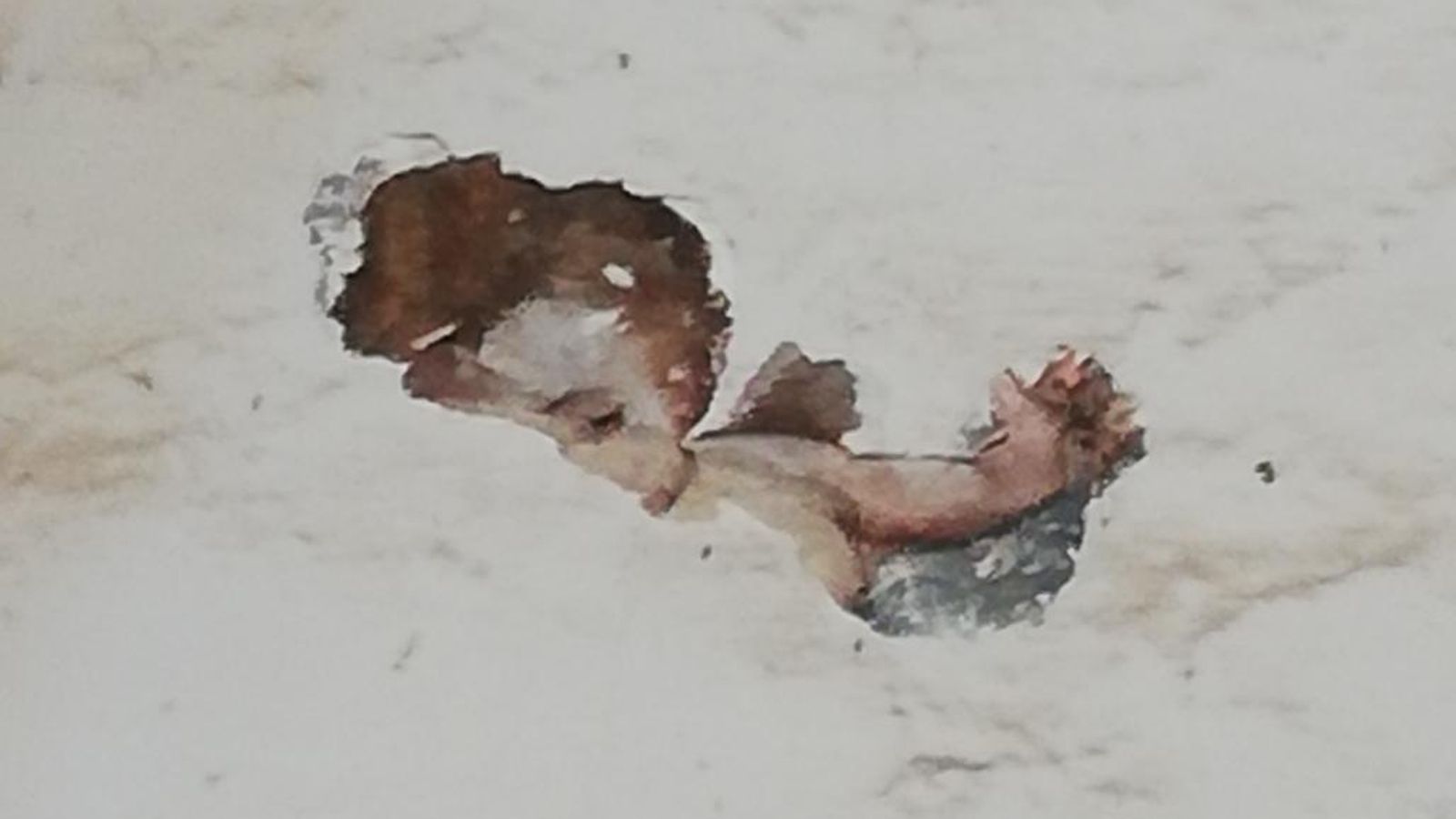 Restos de pinturas hallados en San Laureano.