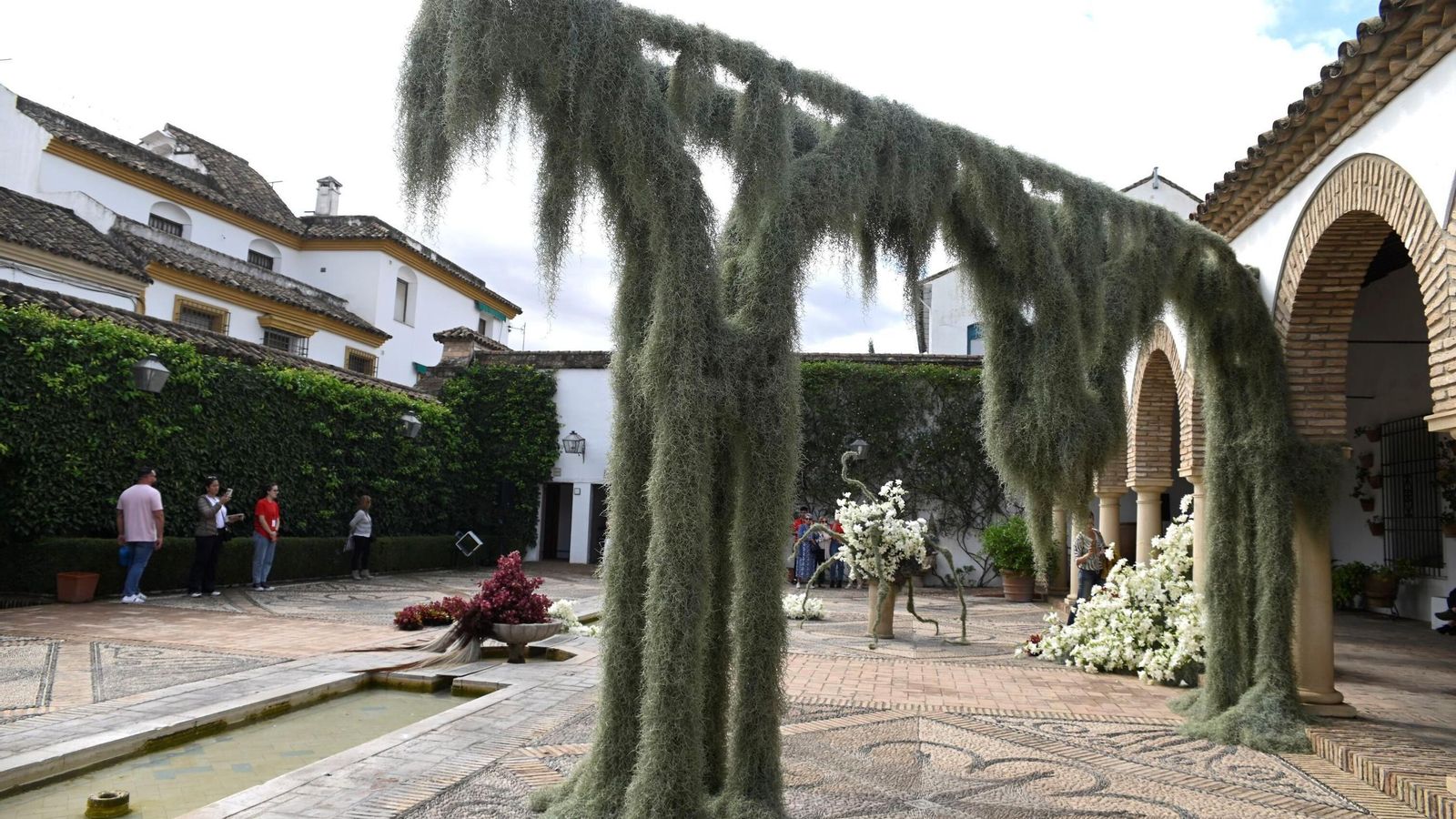 El ser deshilachado', de Coyote Flowers, en el Palacio de Viana