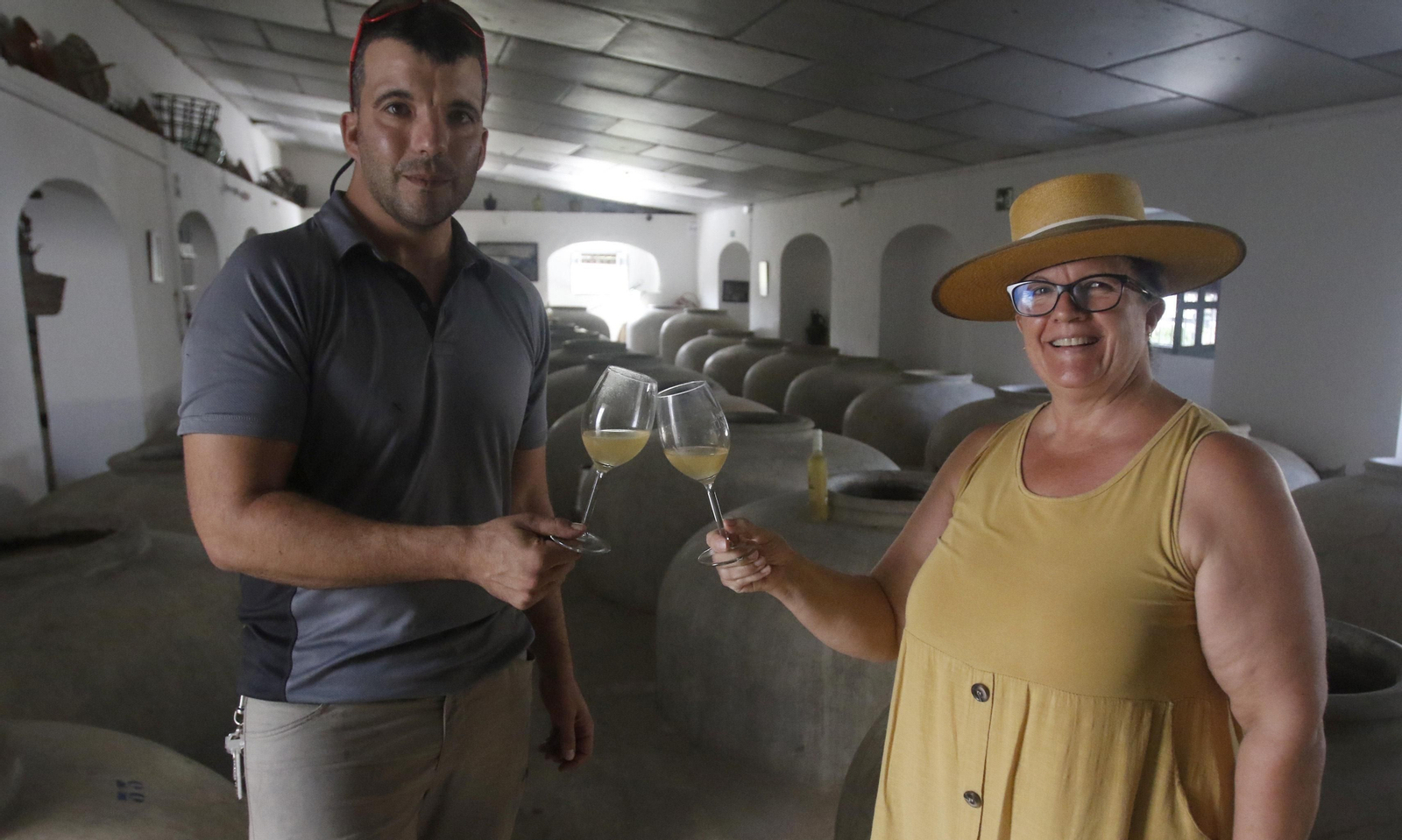 La vendimia en Montilla-Moriles, en fotografías