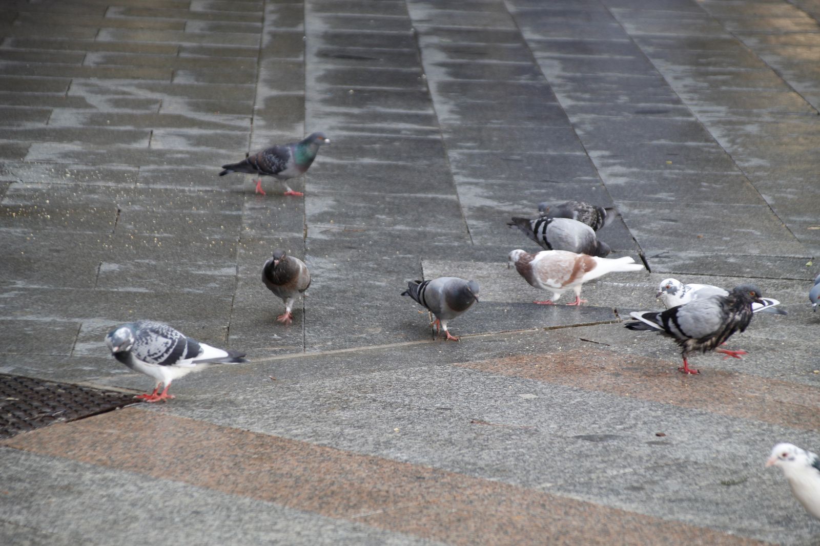 Las imágenes más destacadas del jueves 9 de noviembre en huelva