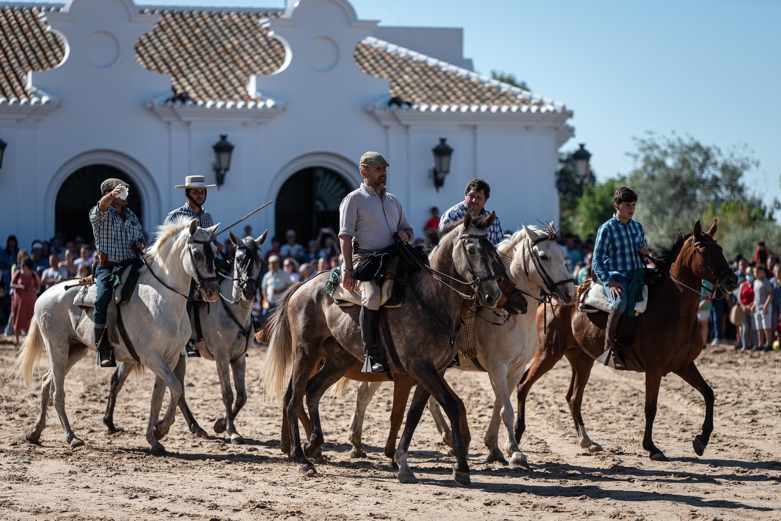 Imágenes de la Saca de las Yeguas a su paso por El Rocío