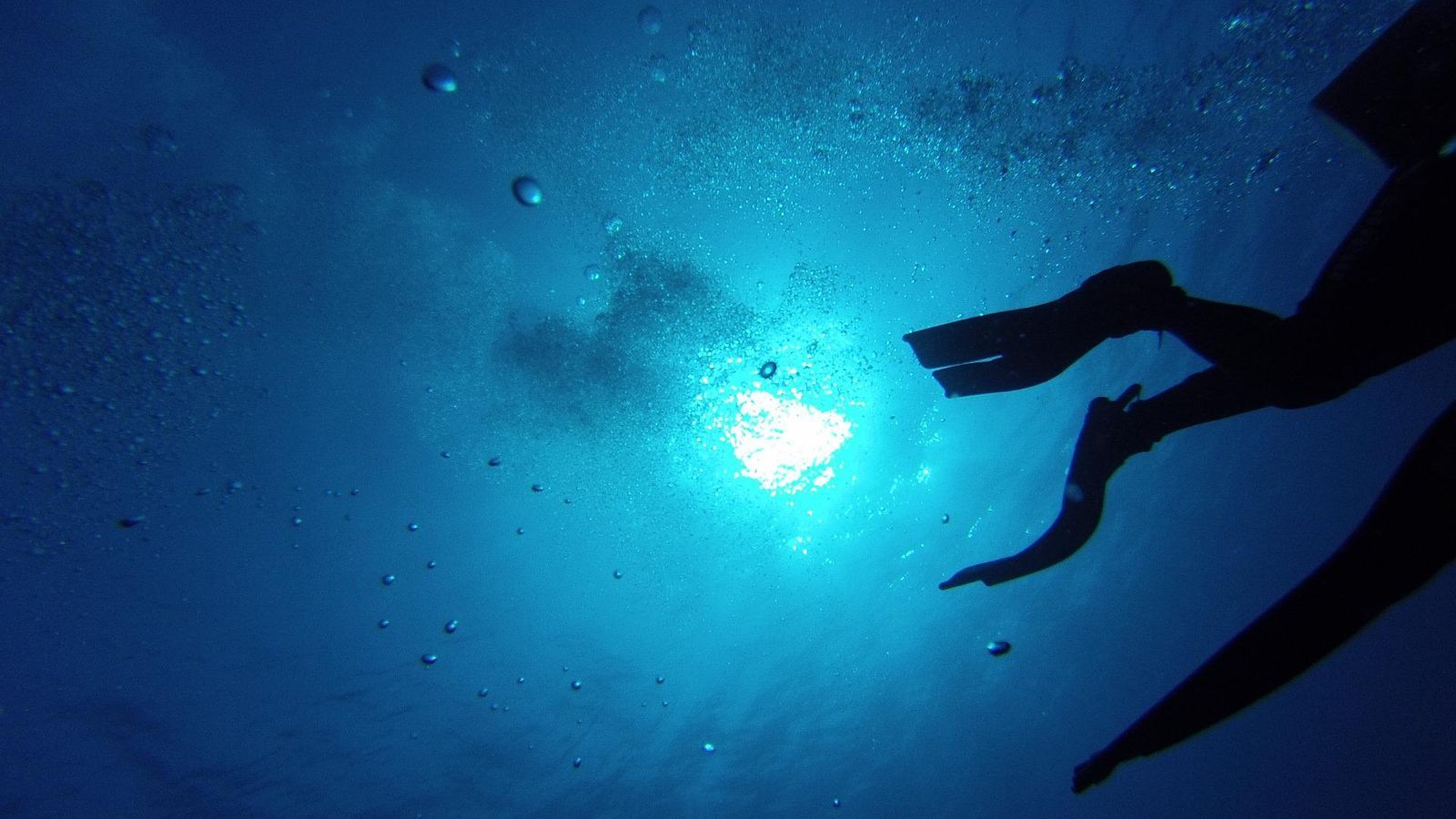 Otra manera de conocer el Campo de Gibraltar