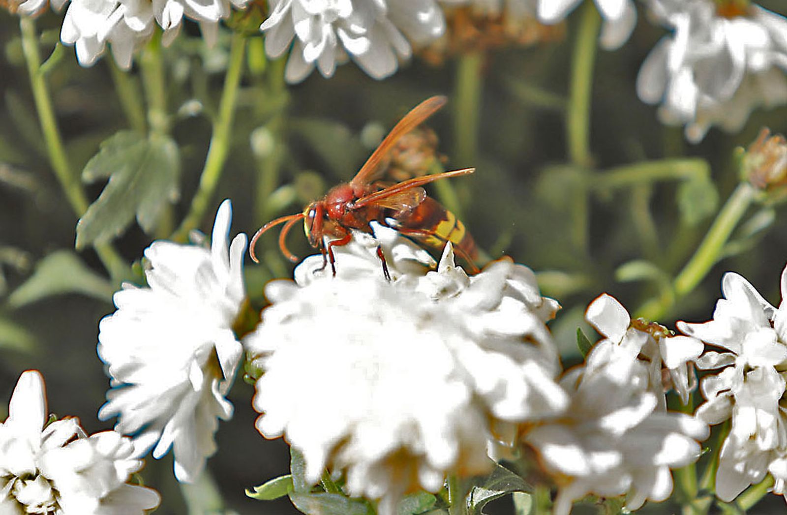 Las imágenes más destacadas del miércoles 22 de noviembre en Huelva