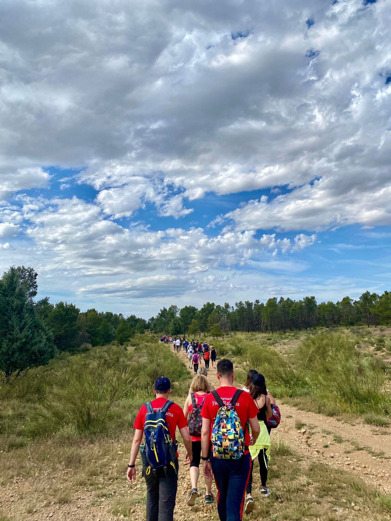 Así fue la Romería de San Torcuato de Guadix, las imágenes