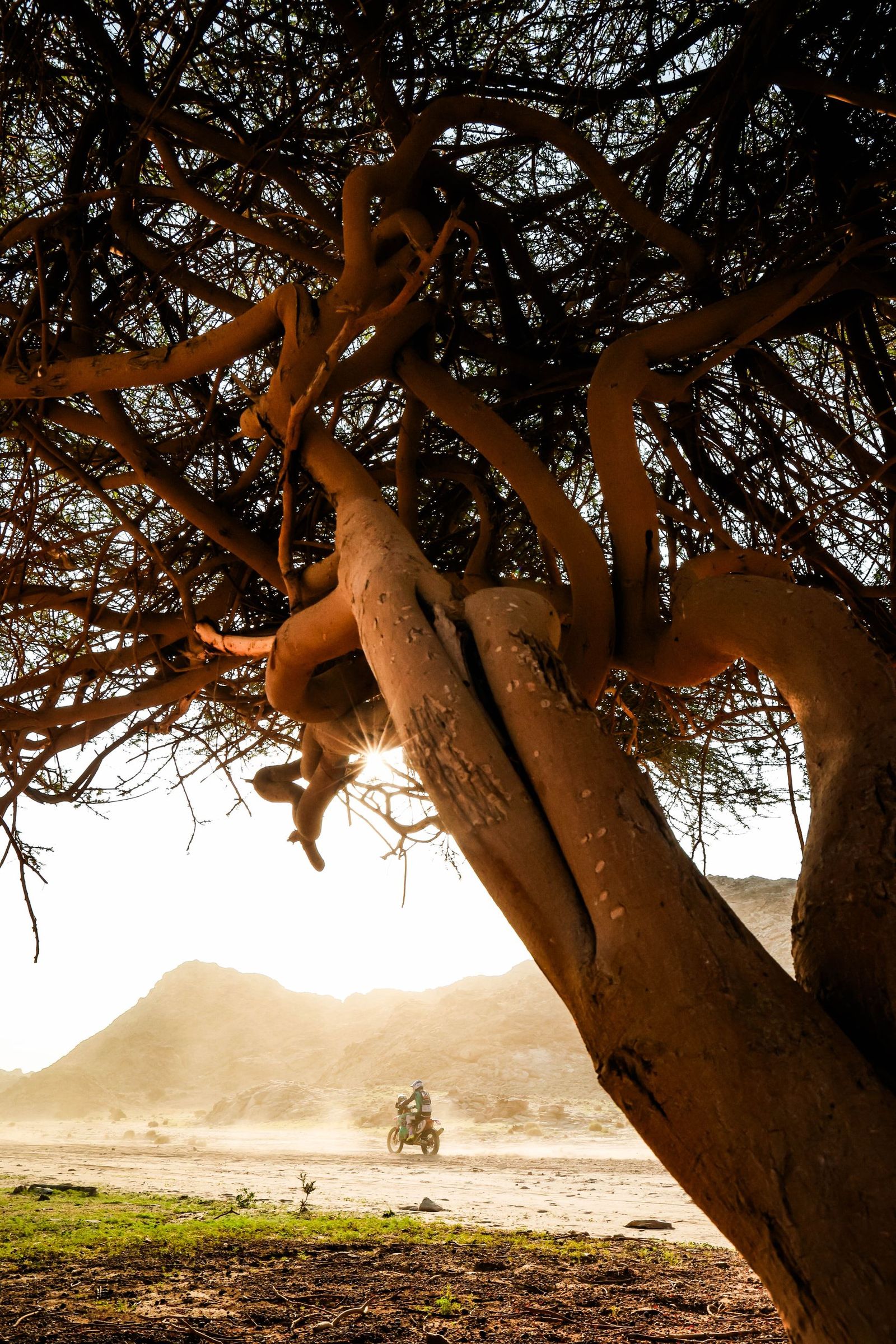 Las mejores fotos del Rally Dakar | Primera etapa