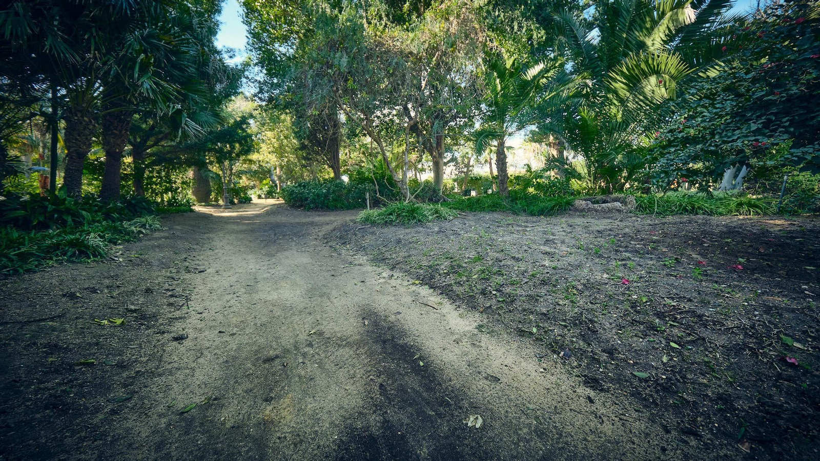 Zona con el albero en mal estado.