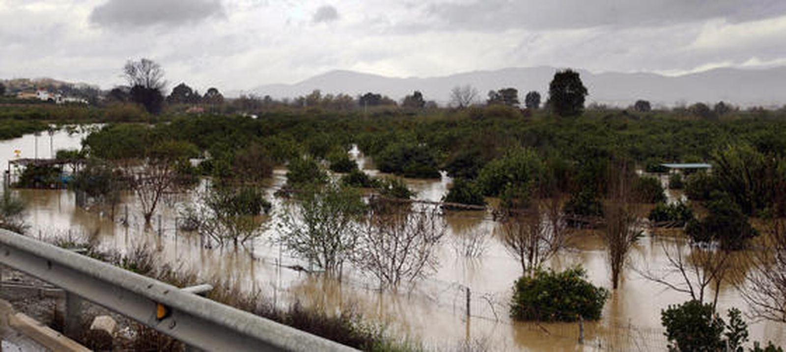 Zona de cultivos inundada en el valle del Guadalhorce.

Foto: Migue Fernández, Sergio Camacho, Agencias