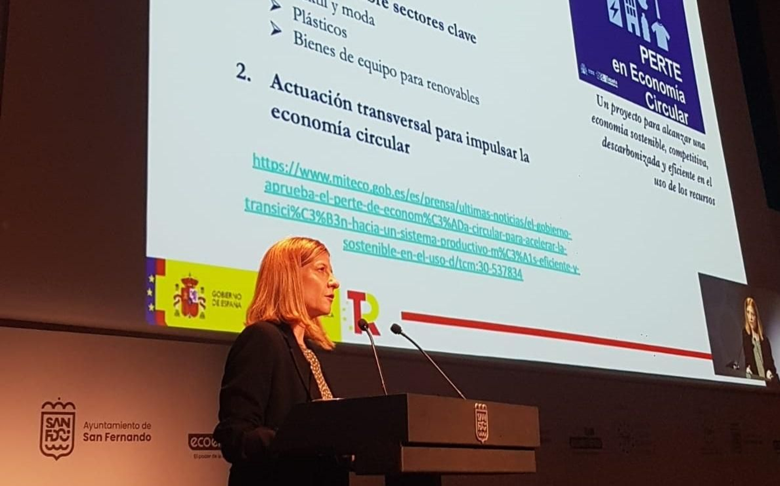 La directora general de Calidad y Evaluación Ambiental del Ministerio, en unas jornadas en San Fernando.