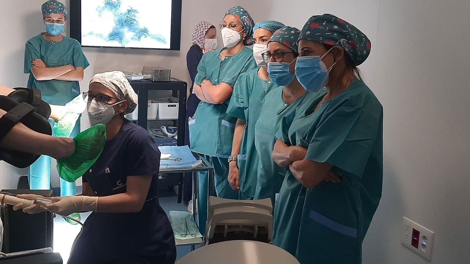 Ginecólogos de distintas parte de España y de otros países se forman en el método VRey en Sevilla.