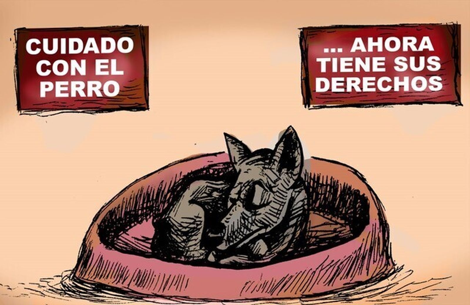 Seres sintientes y divorcio