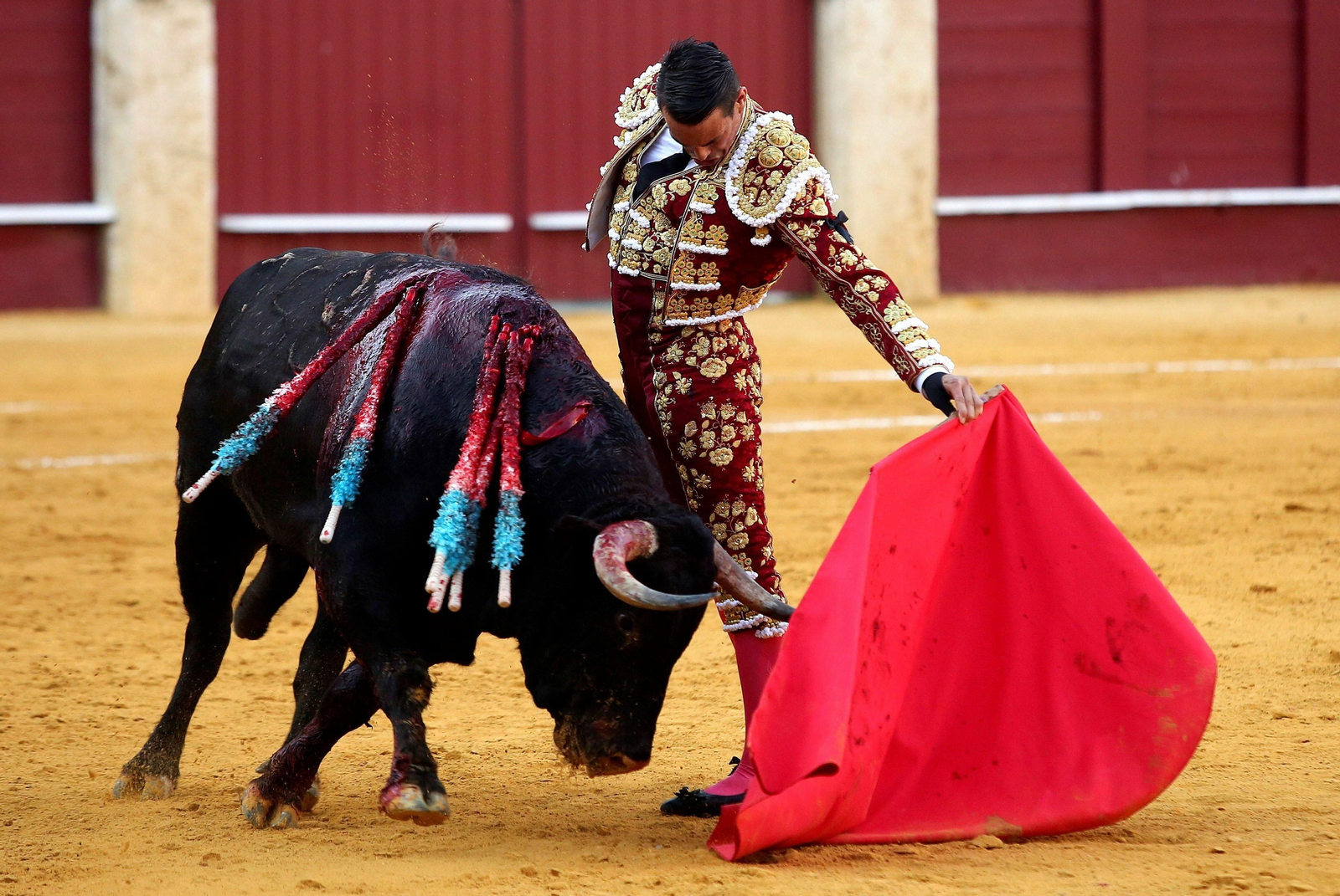 José María Manzanares, el pasado 17 de agosto, en plena ejecución de la faena por la que ha ganado el Estoque de Plata.