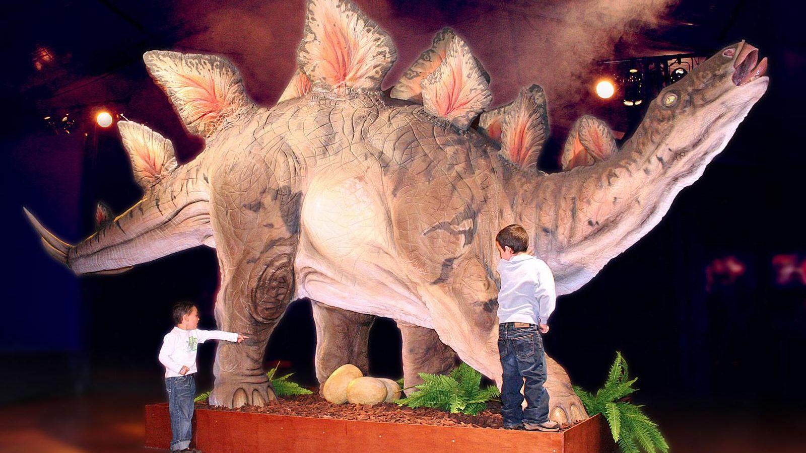 Los niños conocerán de cerca los tamaños, hábitos de alimentación y características de los dinosaurios.