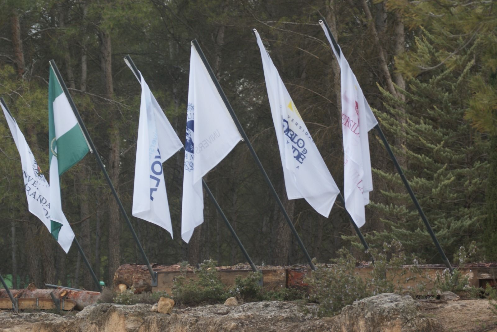 Las imágenes del Campeonato de Andalucía Universitario en Granada
