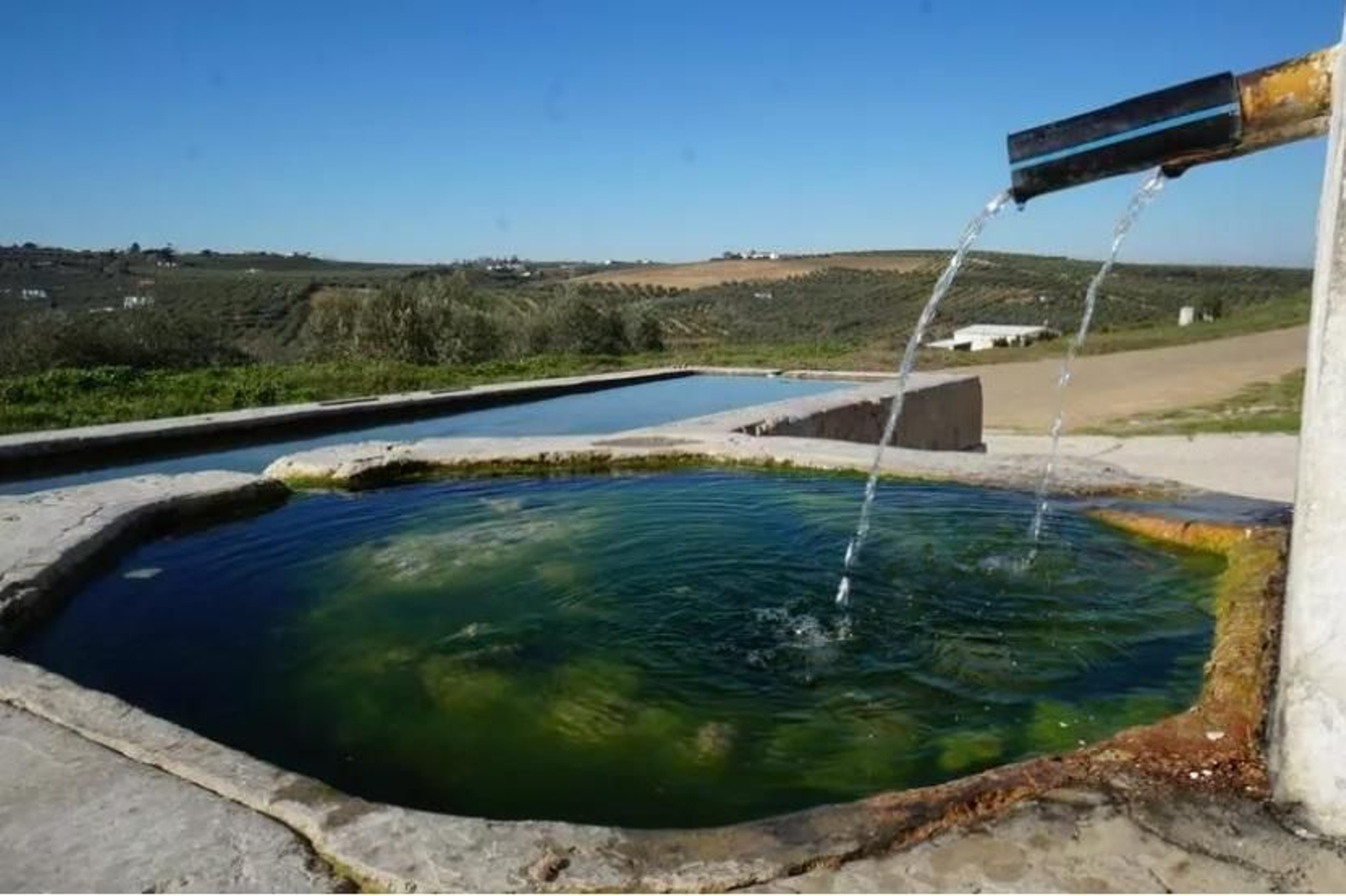 Fuente Nueva de Montilla