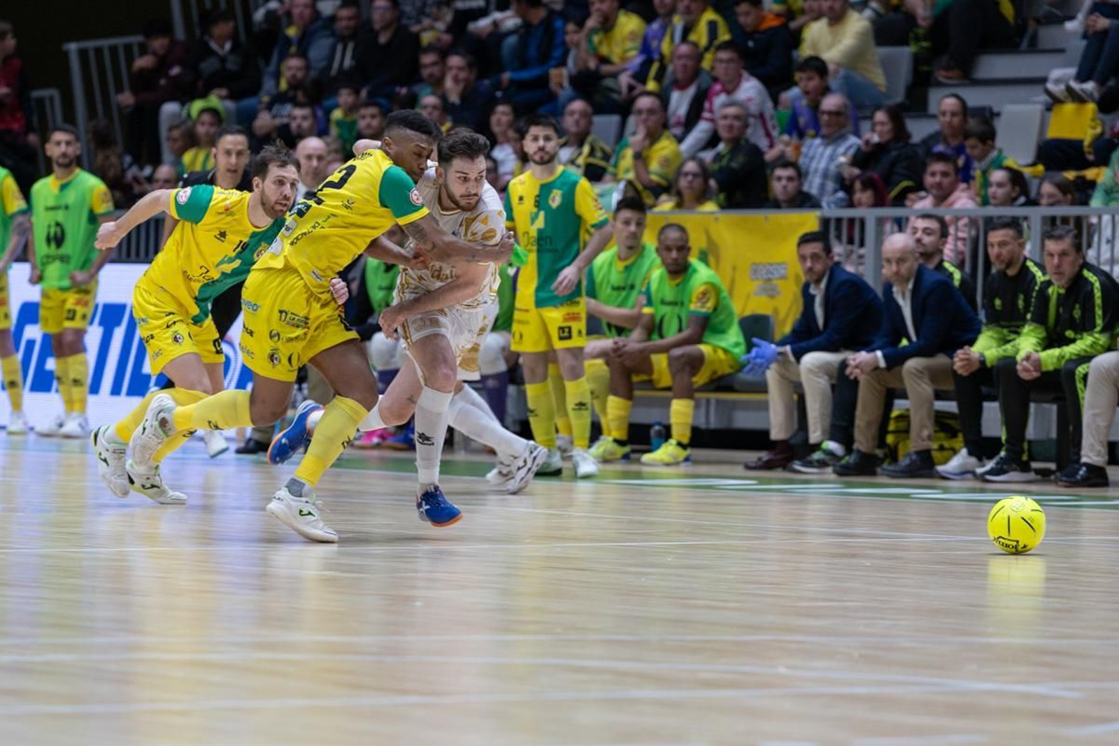 Las mejores imágenes del Jaén Paraíso Interior FS - Quesos El Hidalgo Manzanares