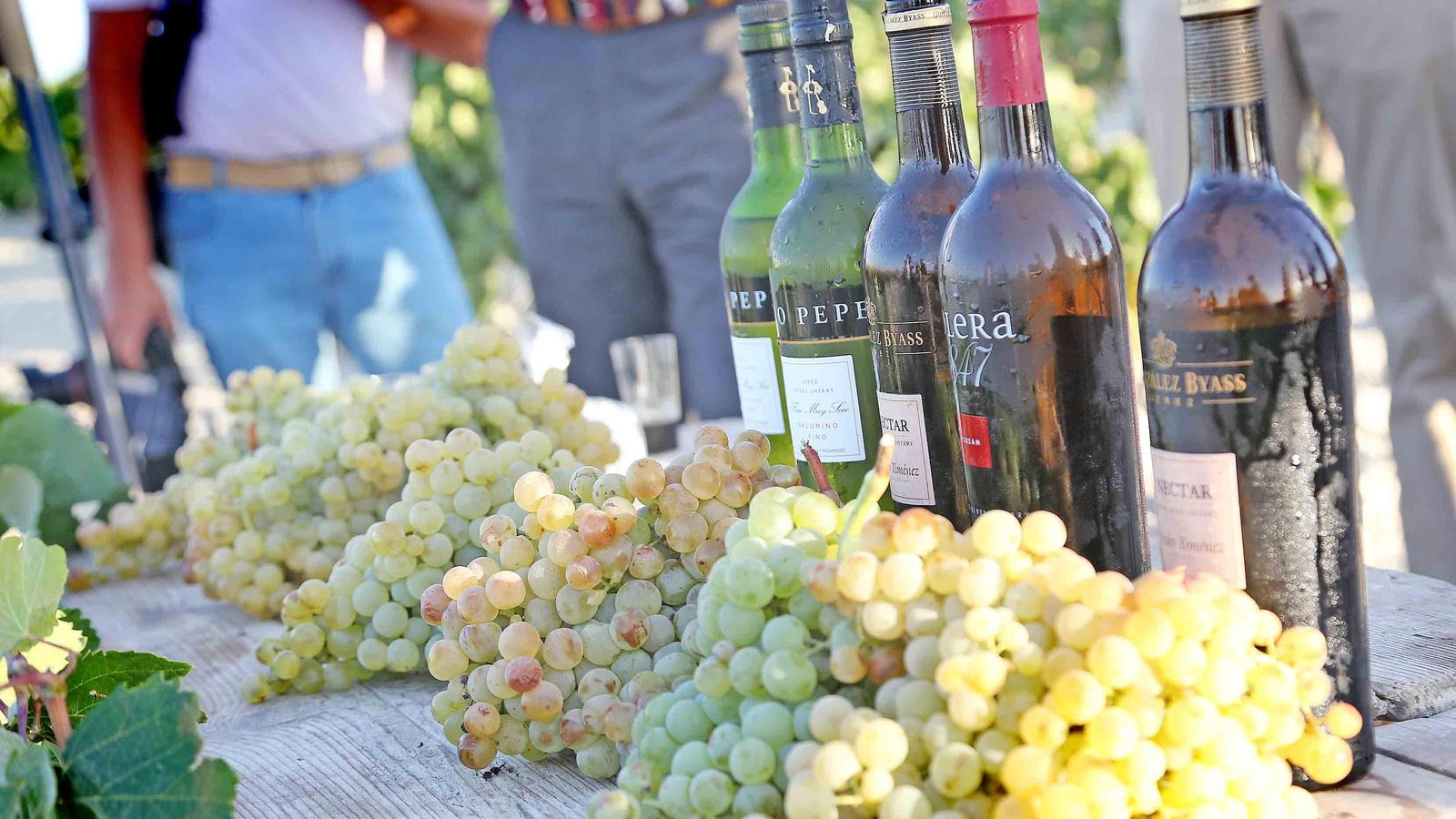 Algunos de los vinos salidos de las bodegas de González Byass.