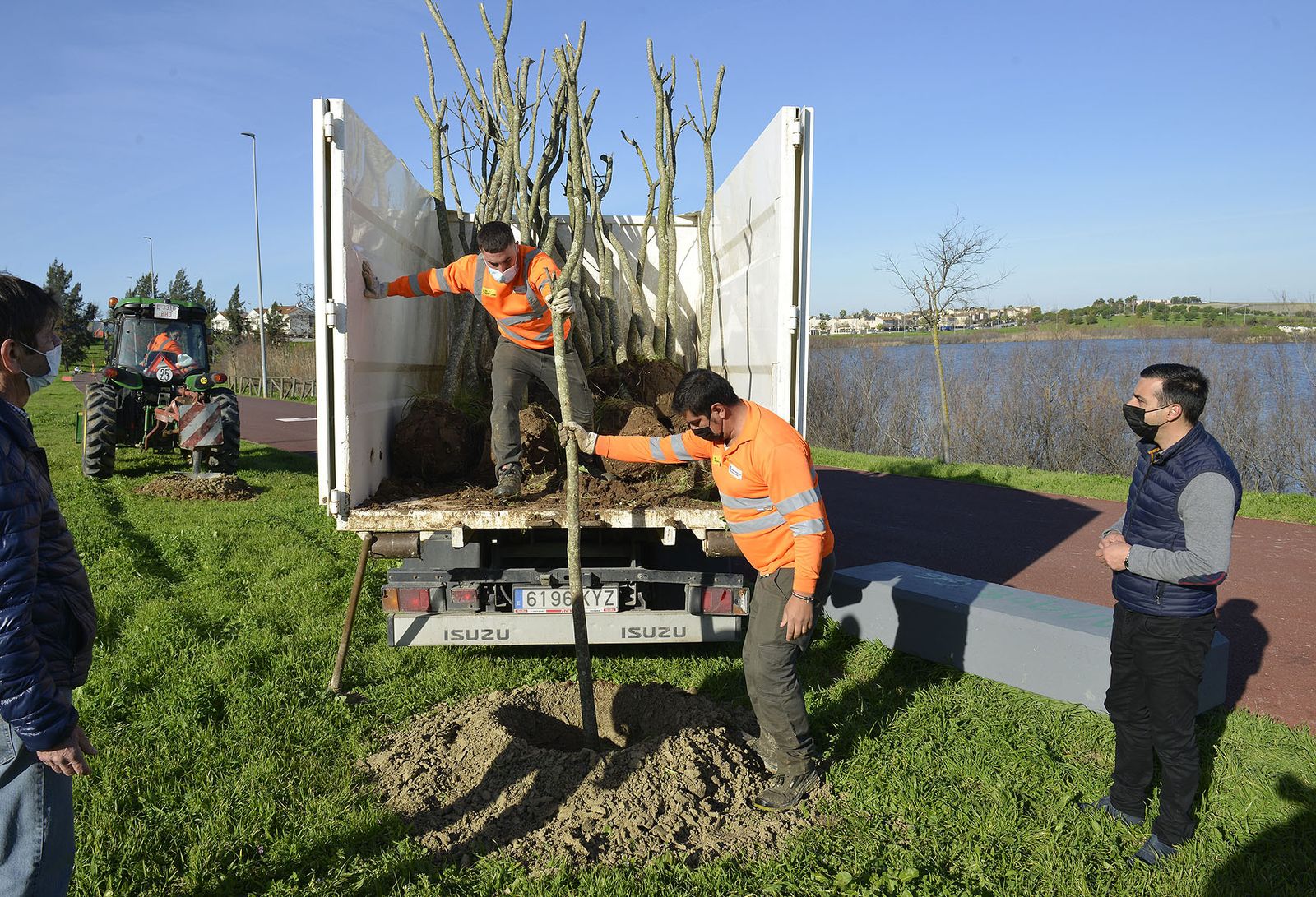 Trabajadores municipales procediendo a la plantación de un árbol.