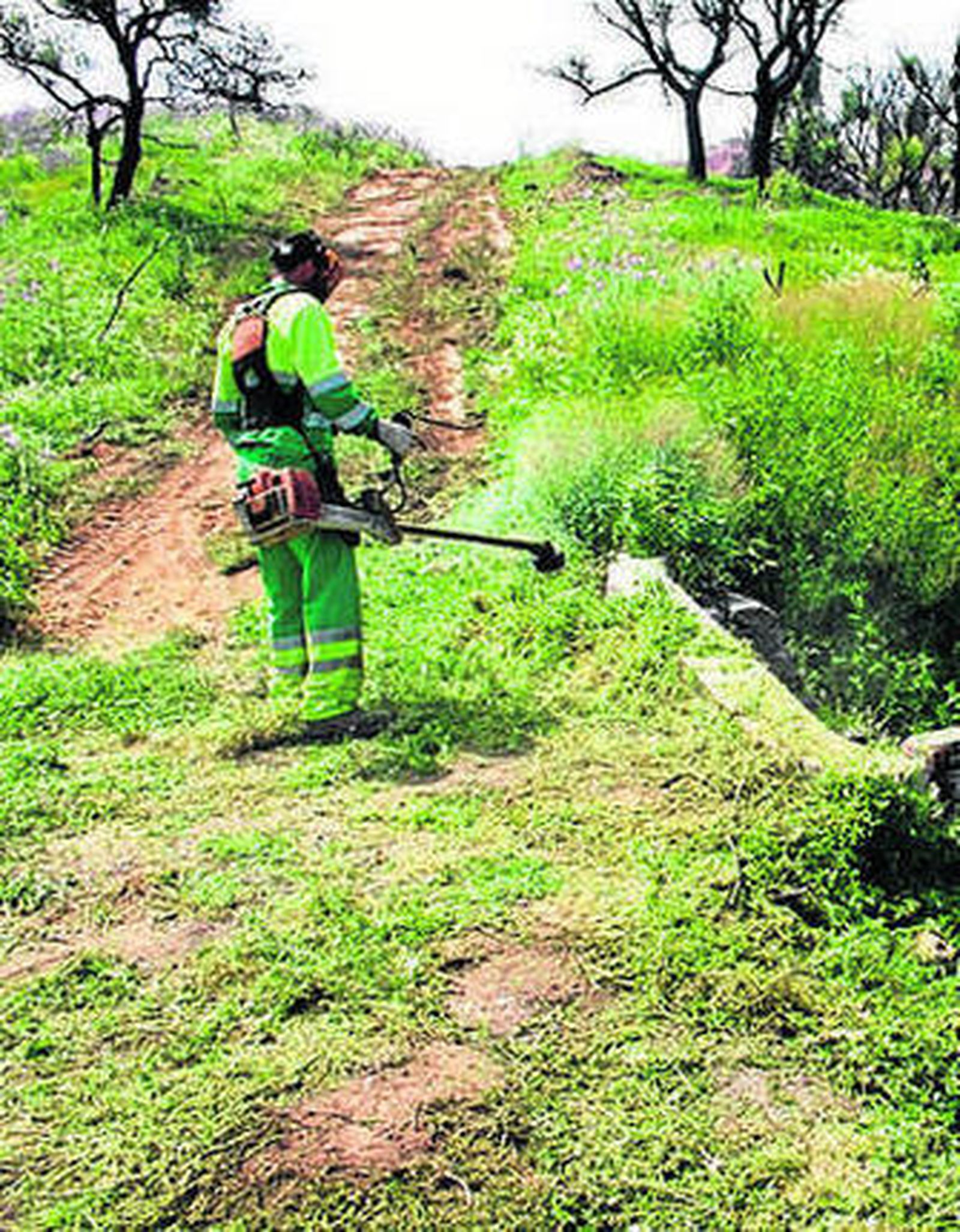 Trabajos de desbroce, ayer.