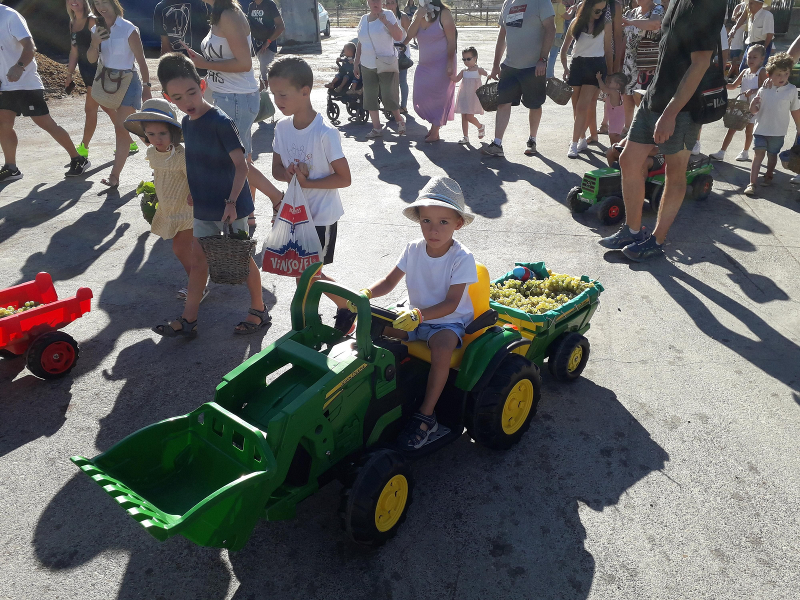 La primera vendimia infantil de Montilla, en imágenes